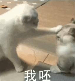 产后避孕最好的方法是哪种,妇科避孕最好的方式是什么