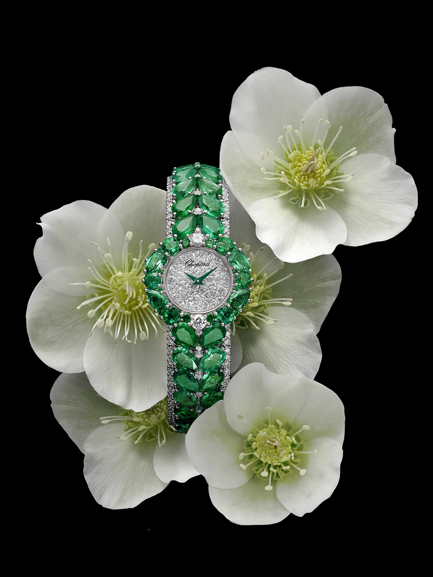 当手表遇见珠宝,腕表珠宝轻奢精品