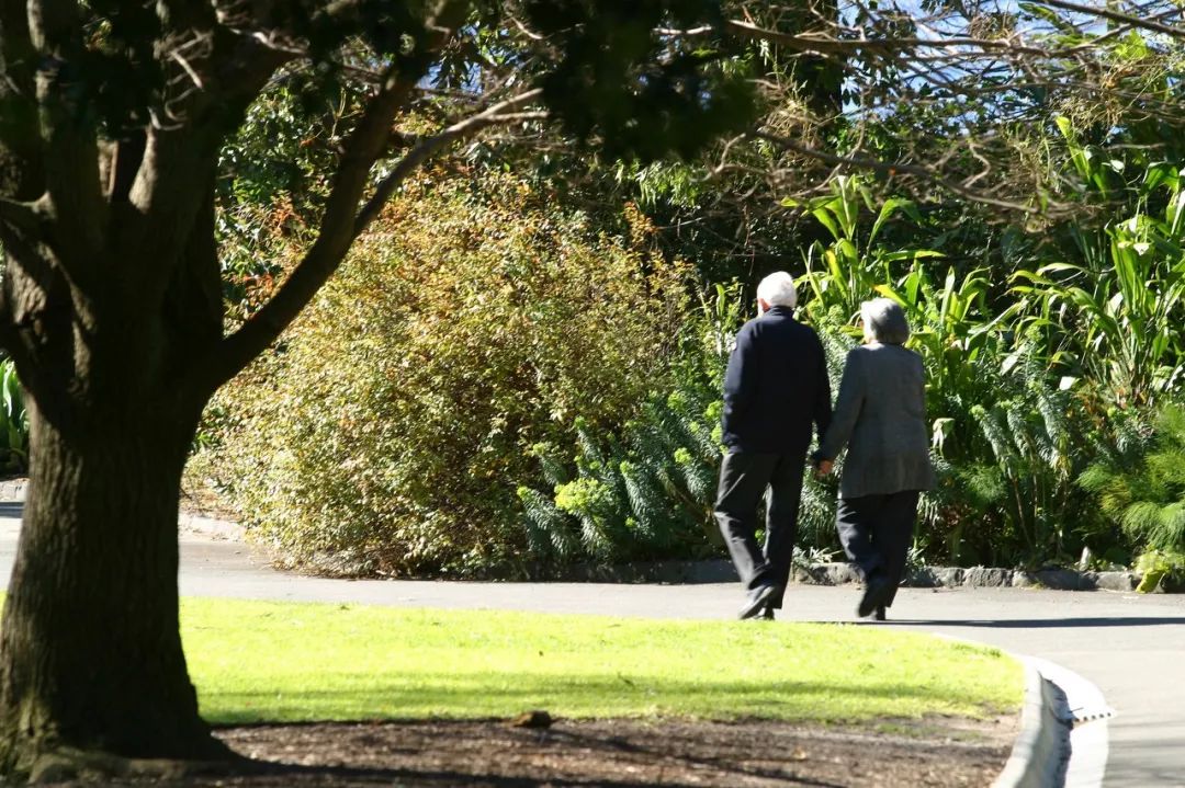 中国老年人*生活性**真相