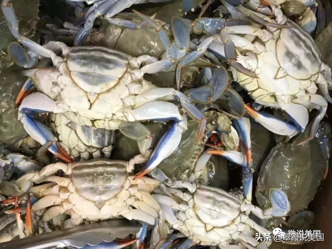 翠霞带你看看美国不同种类的超市