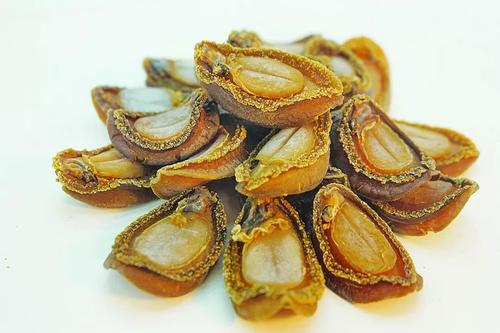 世界鲍鱼品种大全，看完成半个专家了！