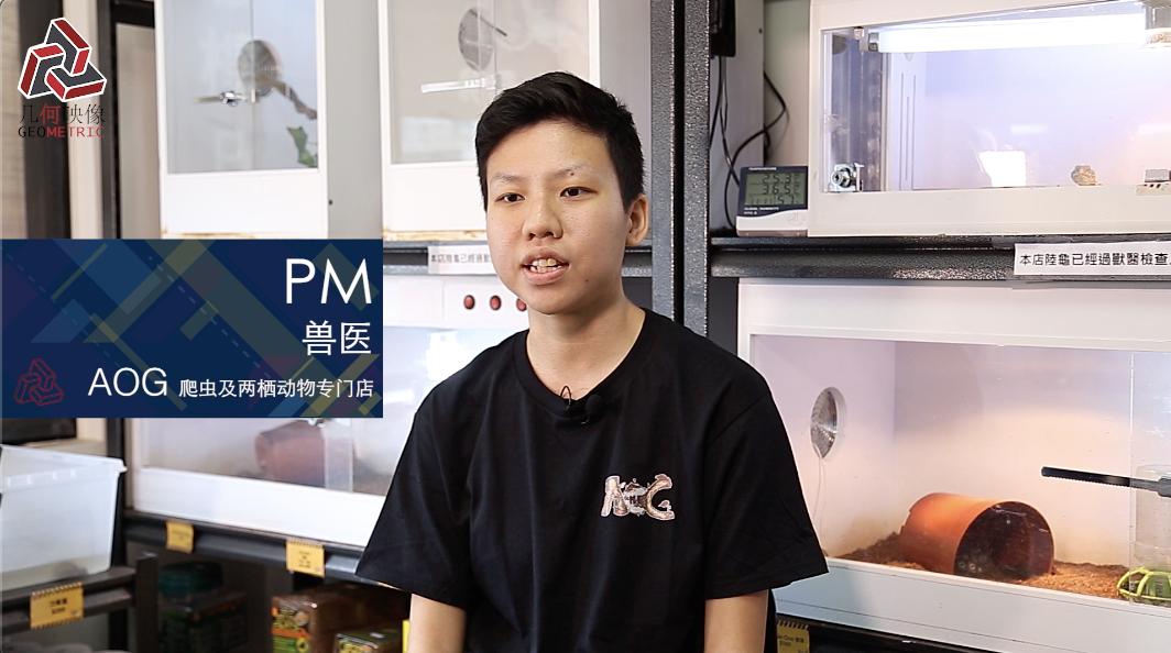 香港90后成为异宠兽医，希望天下爬虫类都健康成长