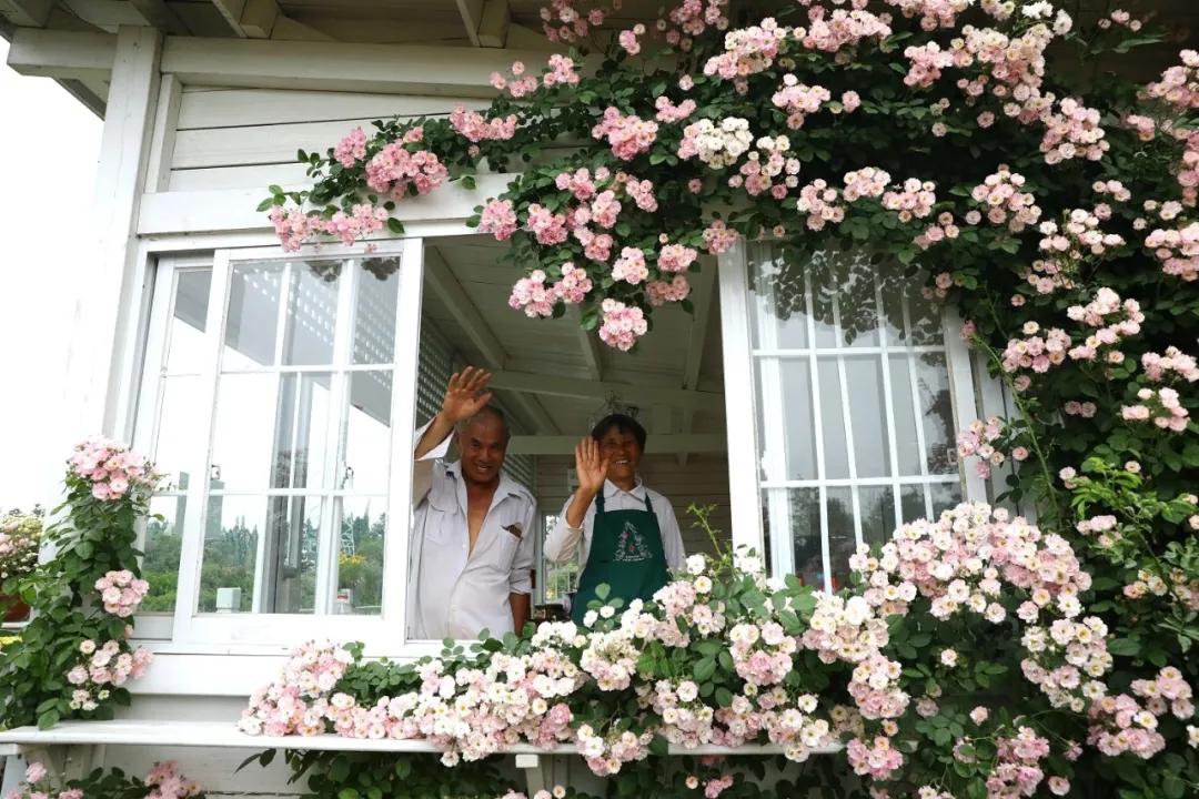 梦幻花园开园了！就在双流彭镇！免费的那种