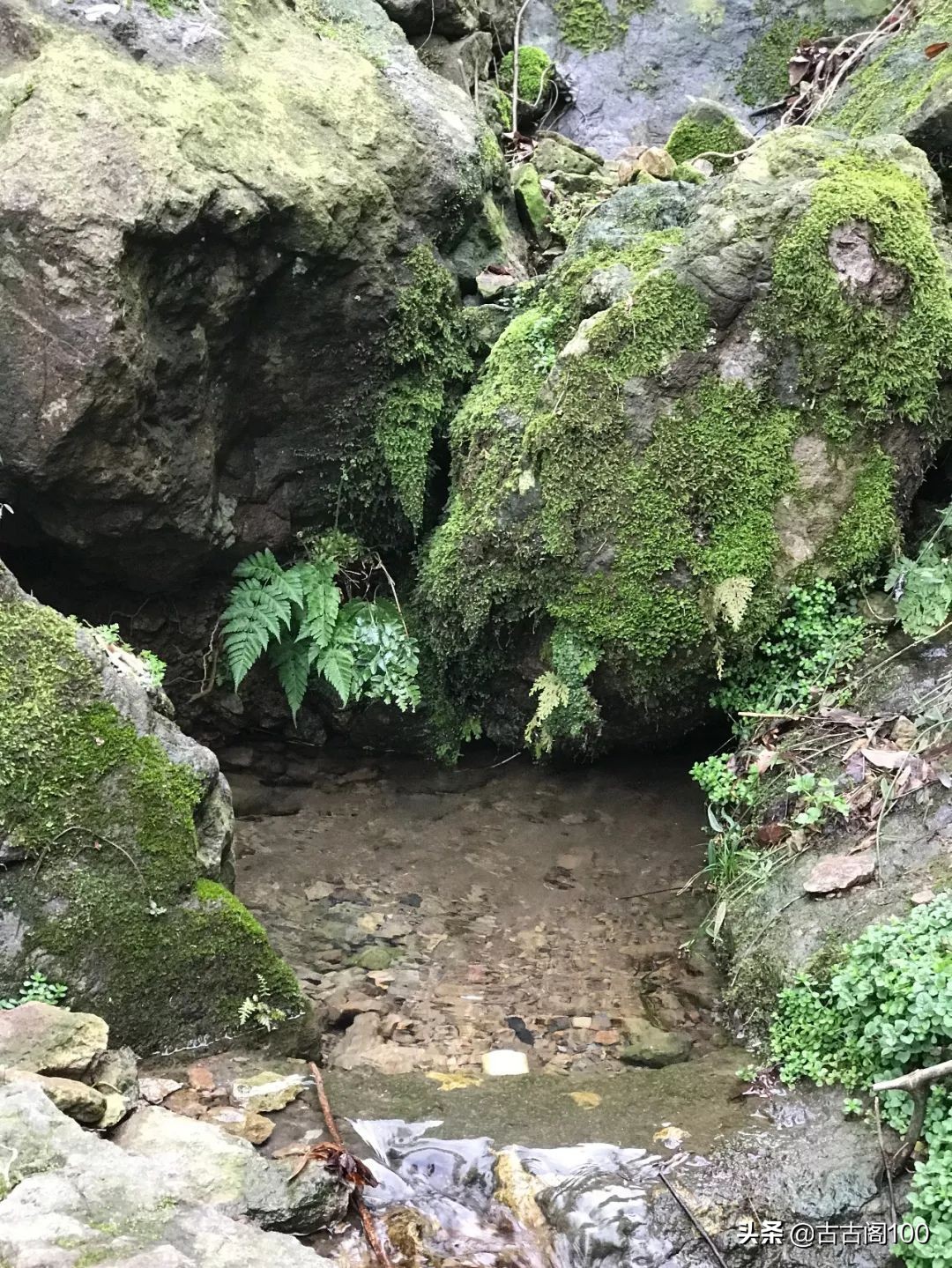萧绍古道沿途风景,萧绍古道难爬吗