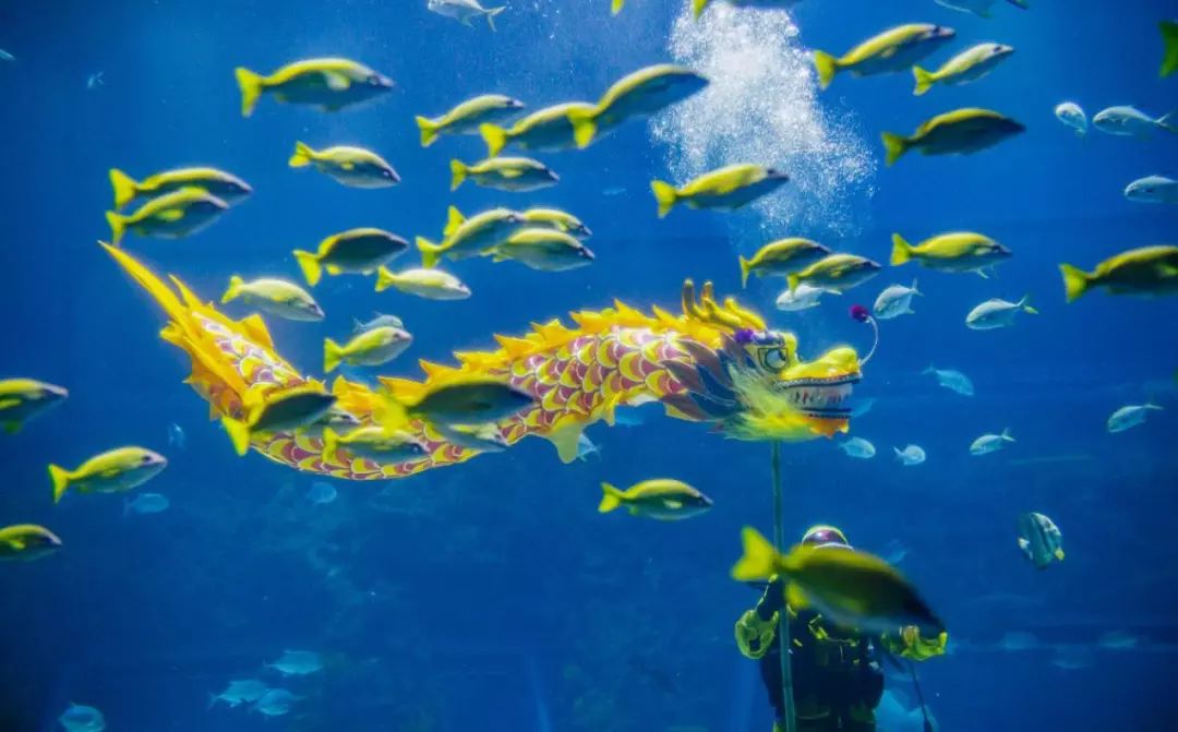 为了集五福,我用女朋友的口红写了个“福”字