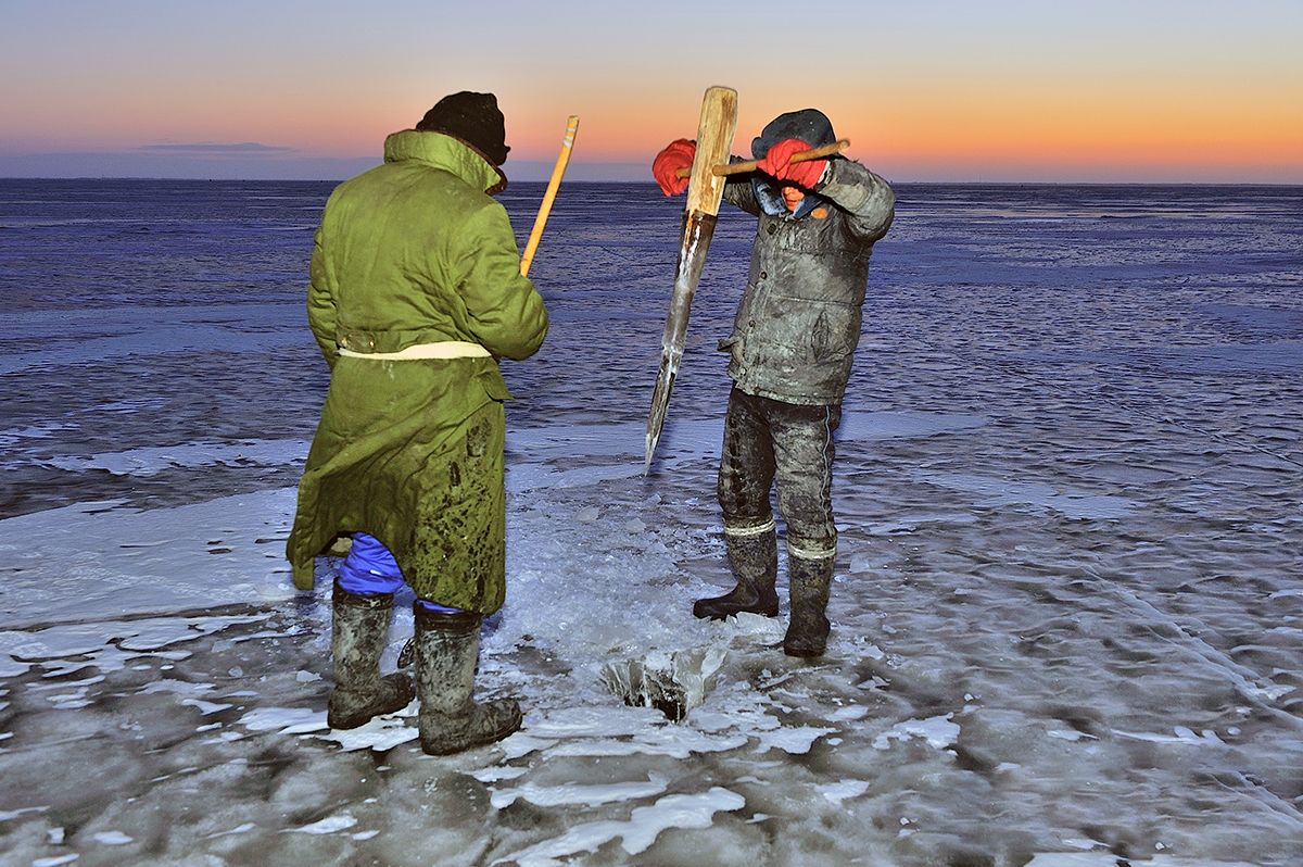 一网捞上2450公斤大黄鱼,一网打捞出957万的鱼