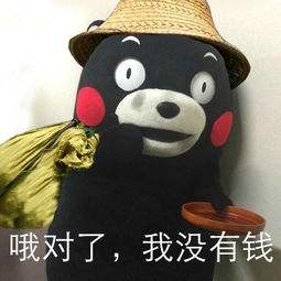 很可爱很正经的文案,超可爱文案高级感