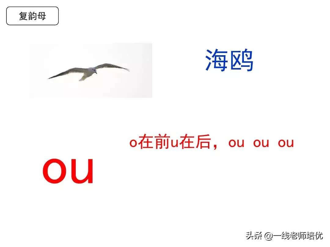 一年级语文园地一汉语拼音字母表,汉语拼音字母表正确读法一年级上