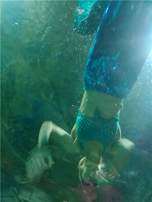 富国海底世界京津冀,游富国海底世界