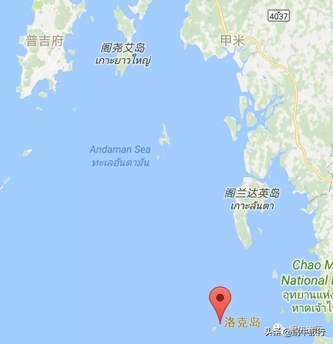 巨蜥像退休大爷休闲漫步；满海的活珊瑚、海葵…国家公园开岛啦