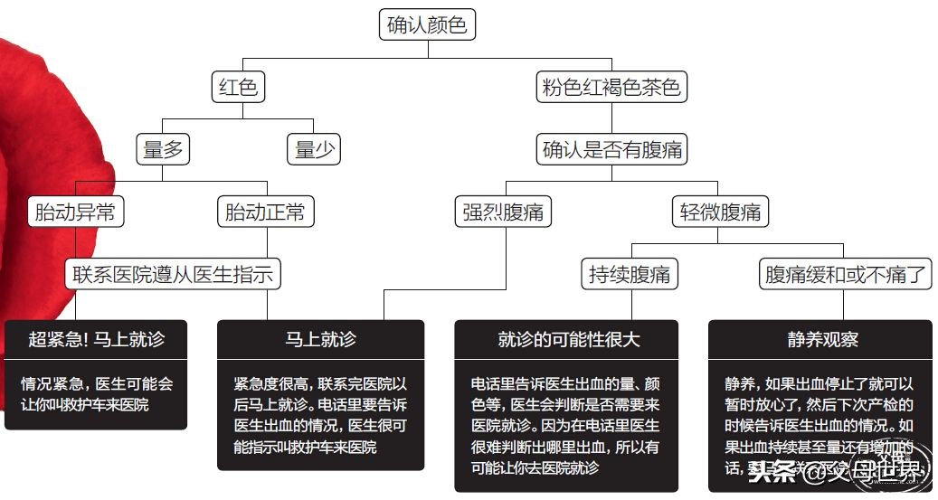 6周孕妇出血,6个月孕妇出血有哪些原因
