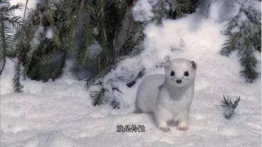 长春家长都领着孩子在干这件事儿,你没做,就落后了!