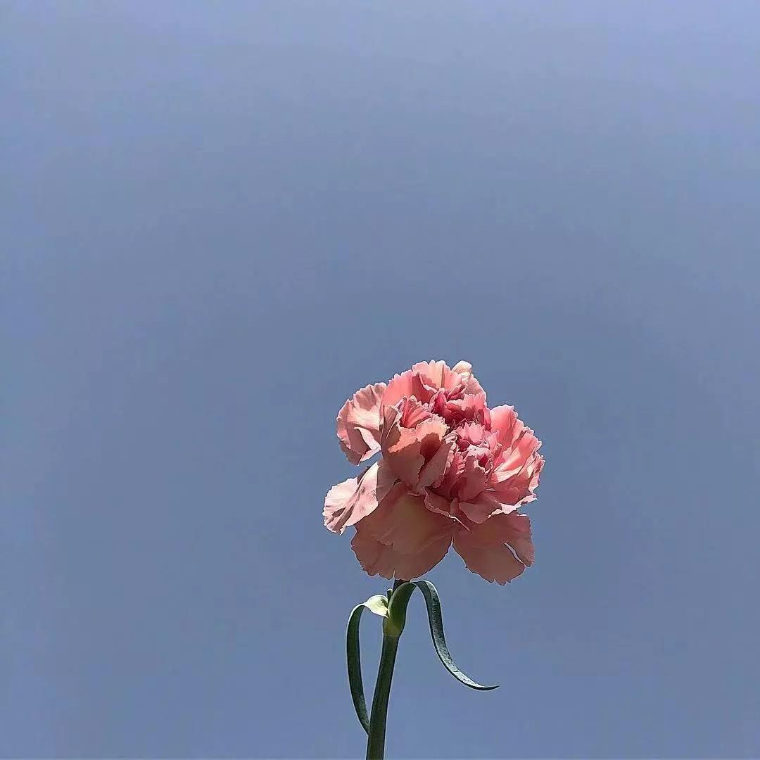 十首最温柔的诗歌,最温柔的古诗