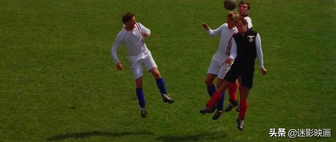 贝利史泰龙主演的电影,贝利和史泰龙合作的电影