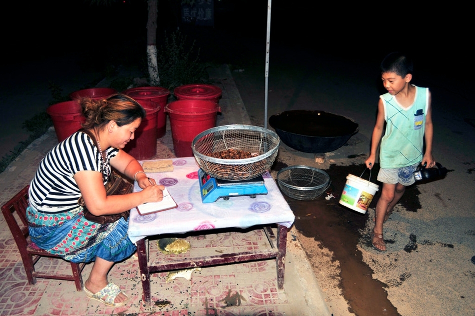 金蝉吃了有什么好处,金蝉到底能不能吃