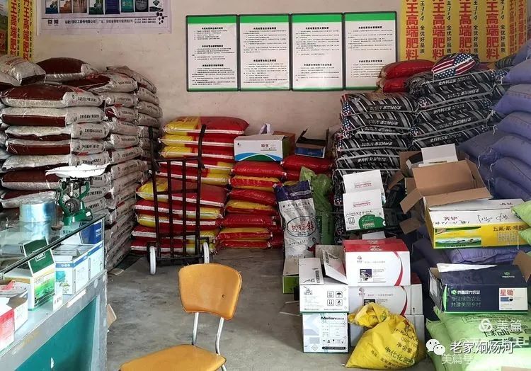 巢湖风:平凡人不平凡的事——记烔炀河塘稍村人许寿东