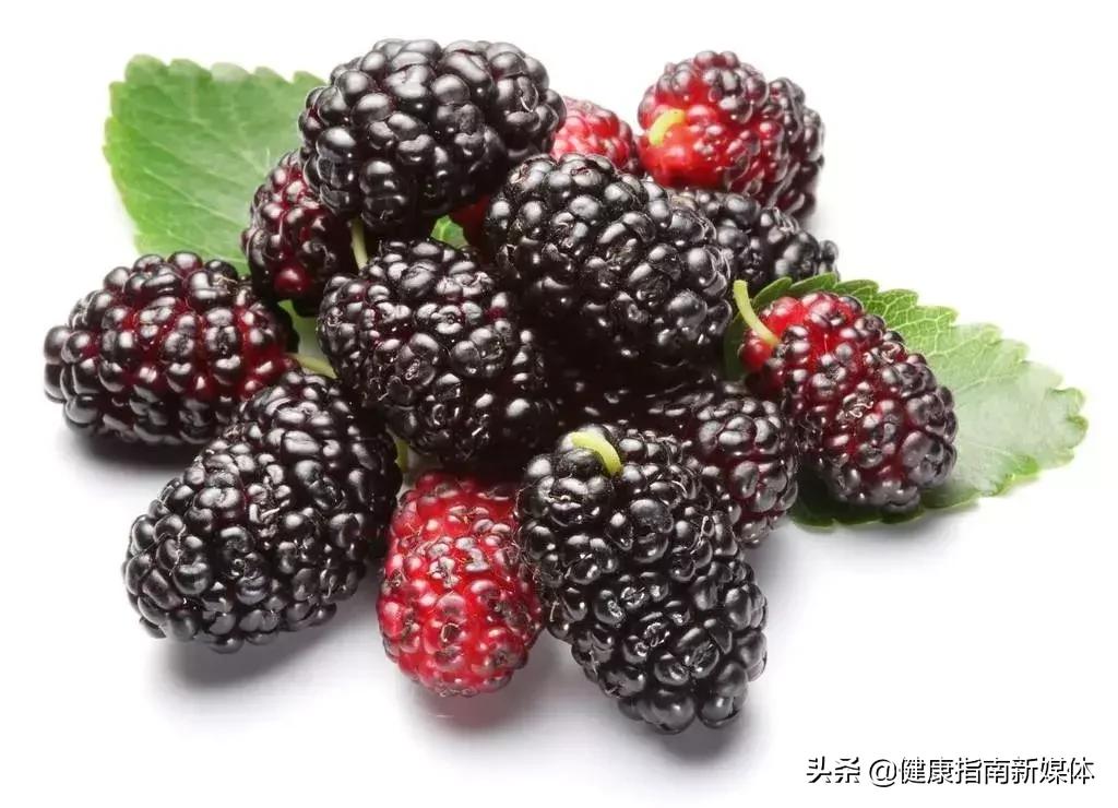 食物人参,食物界中的人生你知道吗