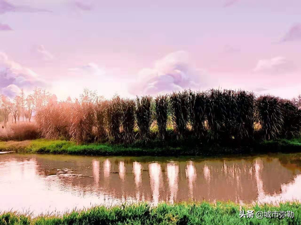 南山：怀孕的男人（组诗）