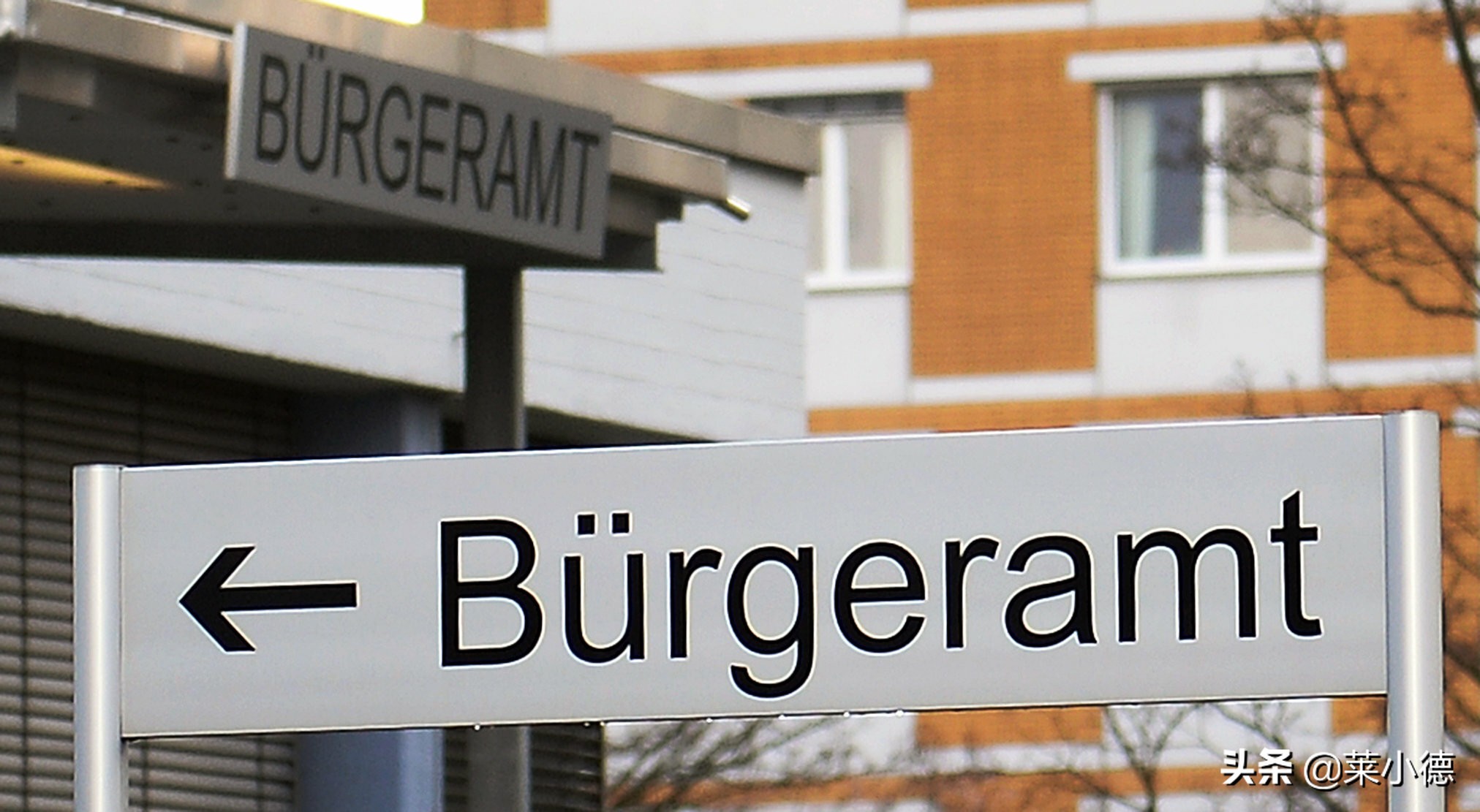 德国留学最详细攻略,德国留学生活攻略完整版