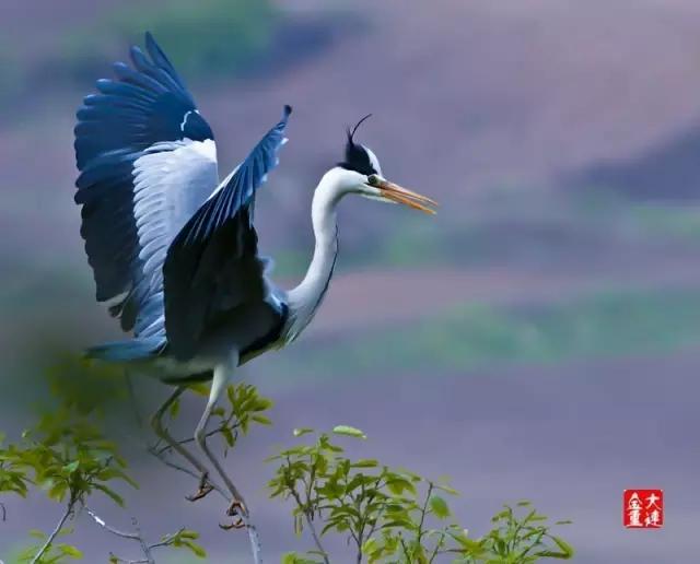 辽宁旅游景点推荐3天自由行,辽宁学生旅游景点推荐