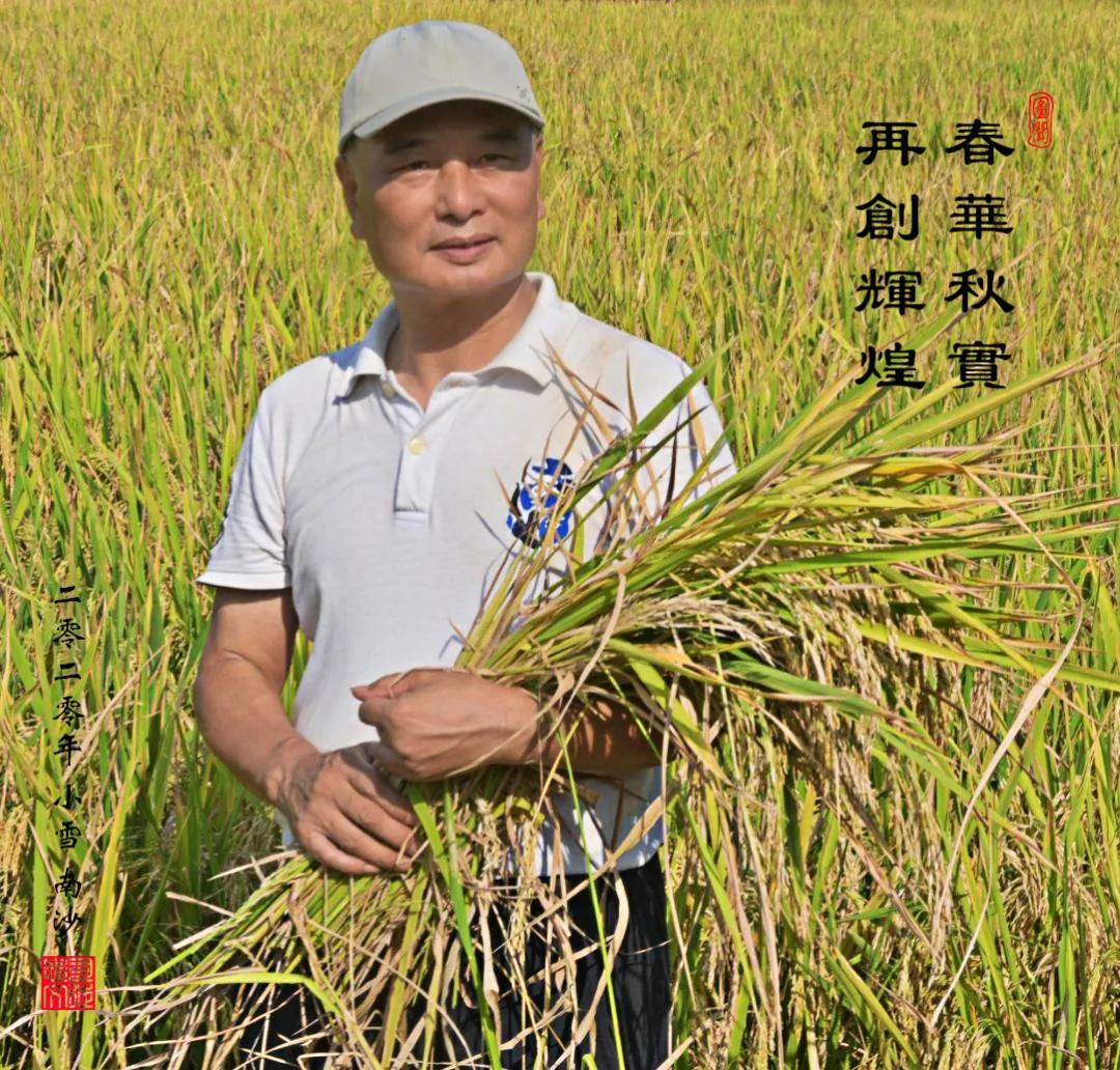 津门网司徒志文：消失在新地图上的龙导尾，老广州人都未必知道