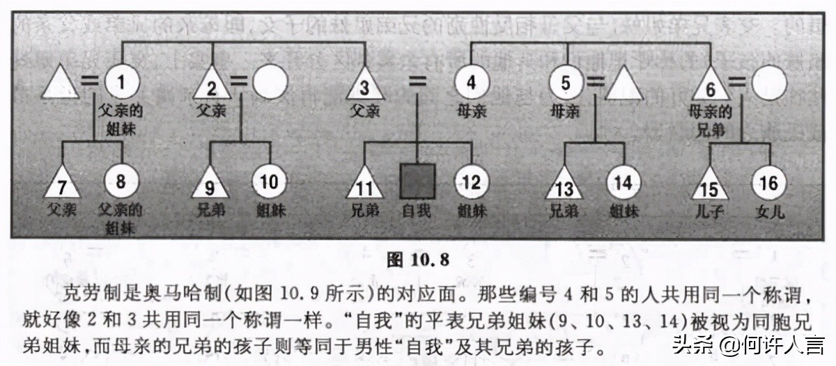 外国人对中国亲戚称呼的看法,外国人对中国亲戚称呼的理解