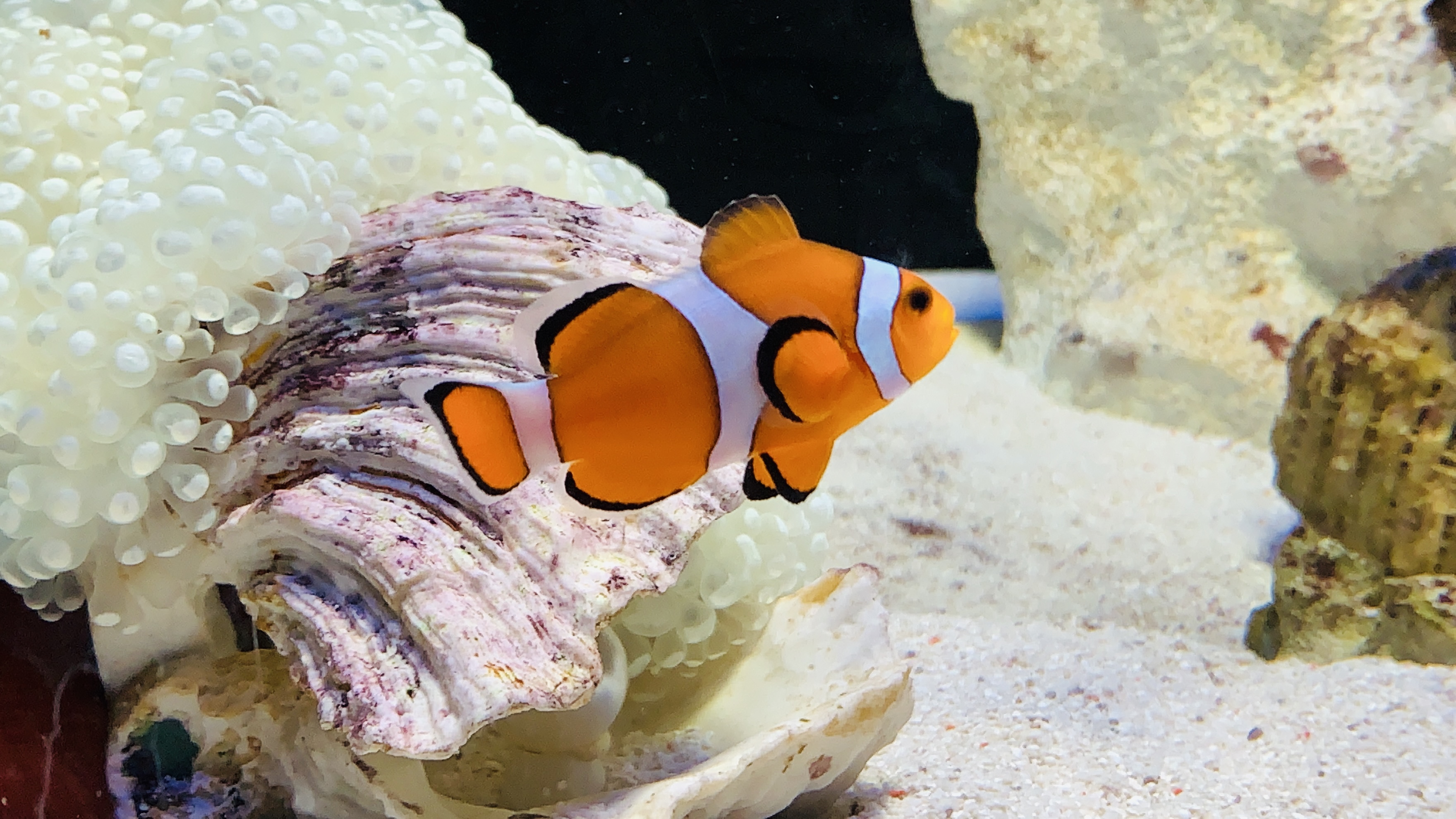 北京富国海底世界周围景点,工体富国海底世界游览攻略