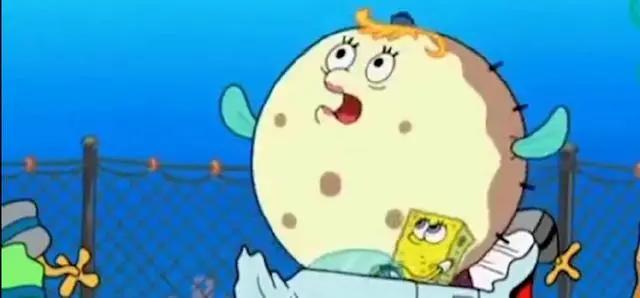 现实中的海绵宝宝是海洋生物,海绵宝宝中的珍珍是什么海洋生物