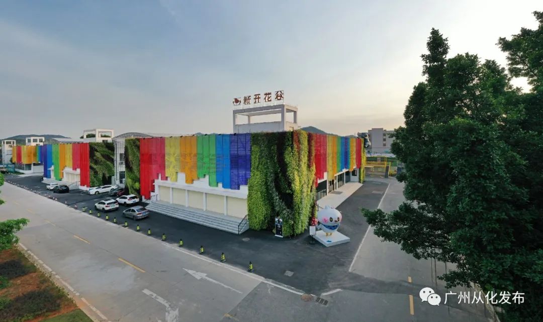 从化新开花谷,从化花谷华南最大的花卉交易中心