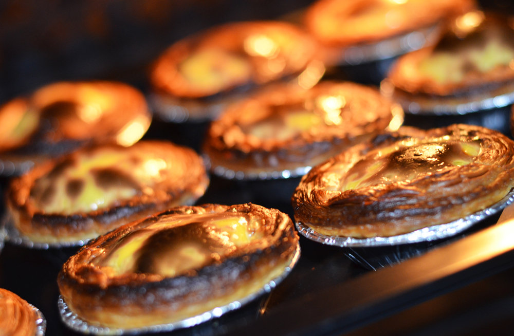 美食烘焙素材,柏翠多功能烘焙烤箱