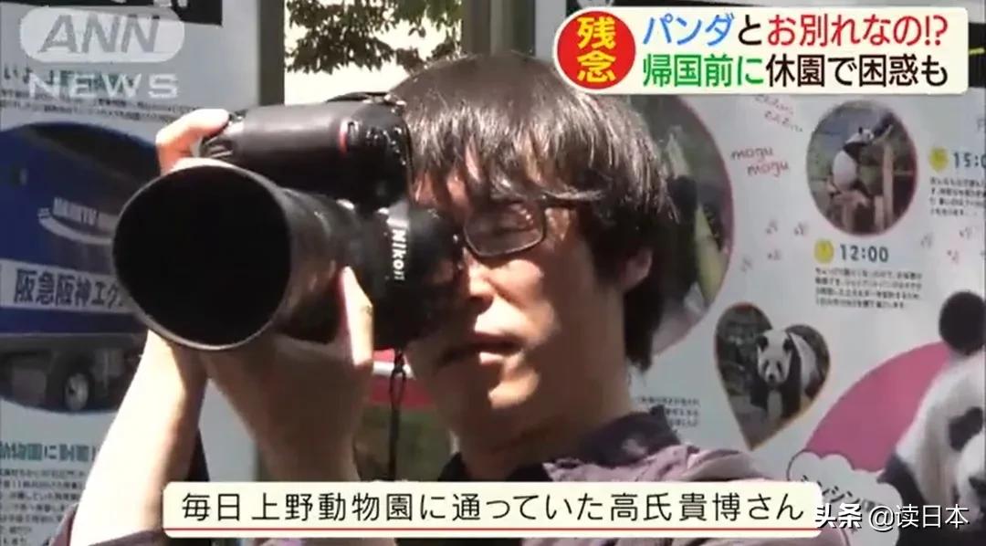 日本的顶级流量担当者大熊猫！日本人的熊猫情结疯狂到你想不到