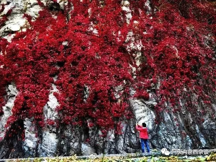 厉害了我的北京视频,厉害了我的北京