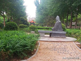 新乡市真“中”高中,每年几千人考上一本