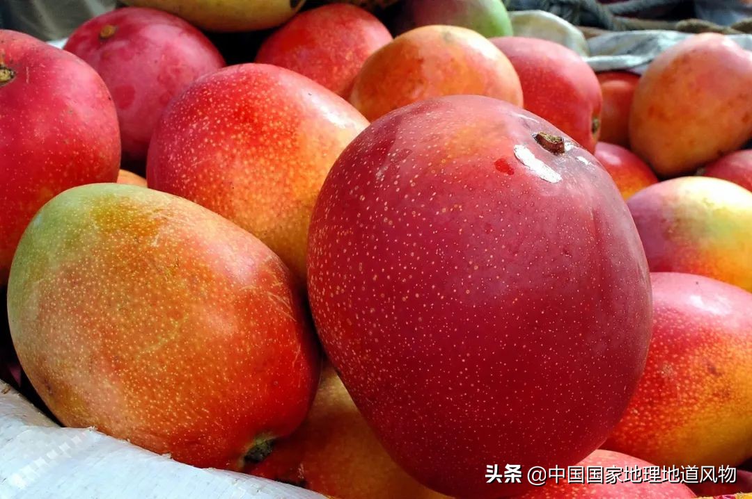 攀枝花不属于四川了吗,为什么说四川攀枝花是土豪城市