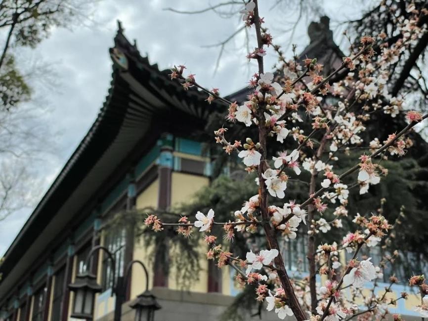 徐悲鸿创立什么的美术学院,徐悲鸿创办的艺术学院有哪些