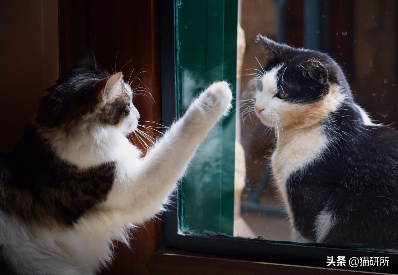 在外受气回家打儿子,在外受欺负回家打老婆孩子