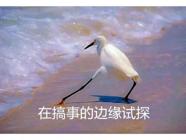 日本留学期间打工兼职,日本留学打工需要什么条件