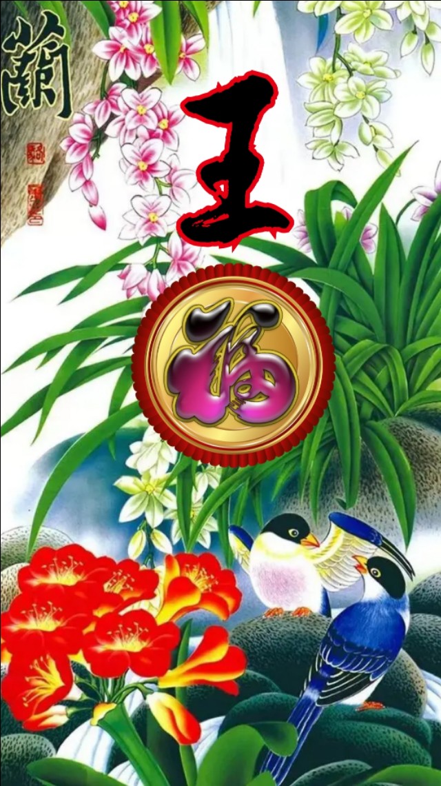 精美兰花壁纸图,兰花高贵壁纸