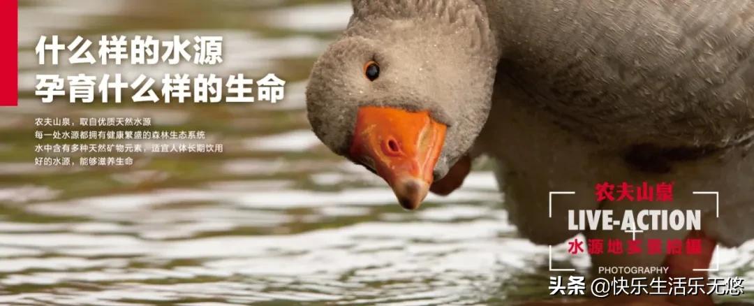 农夫山泉上市，卖水人要换个方式淘金了！娃哈哈怎么办？