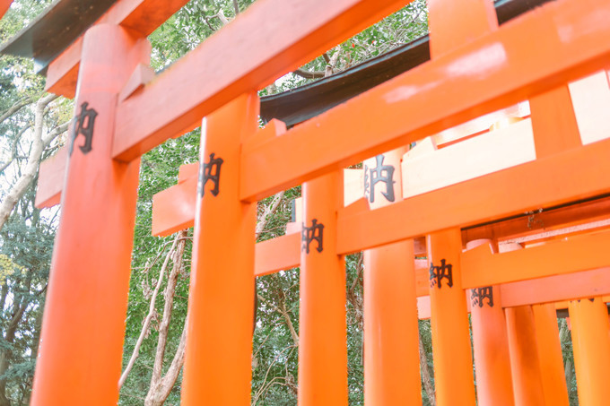 伏见稻荷大社怎么去清水寺,伏见稻荷大社到清水寺远吗