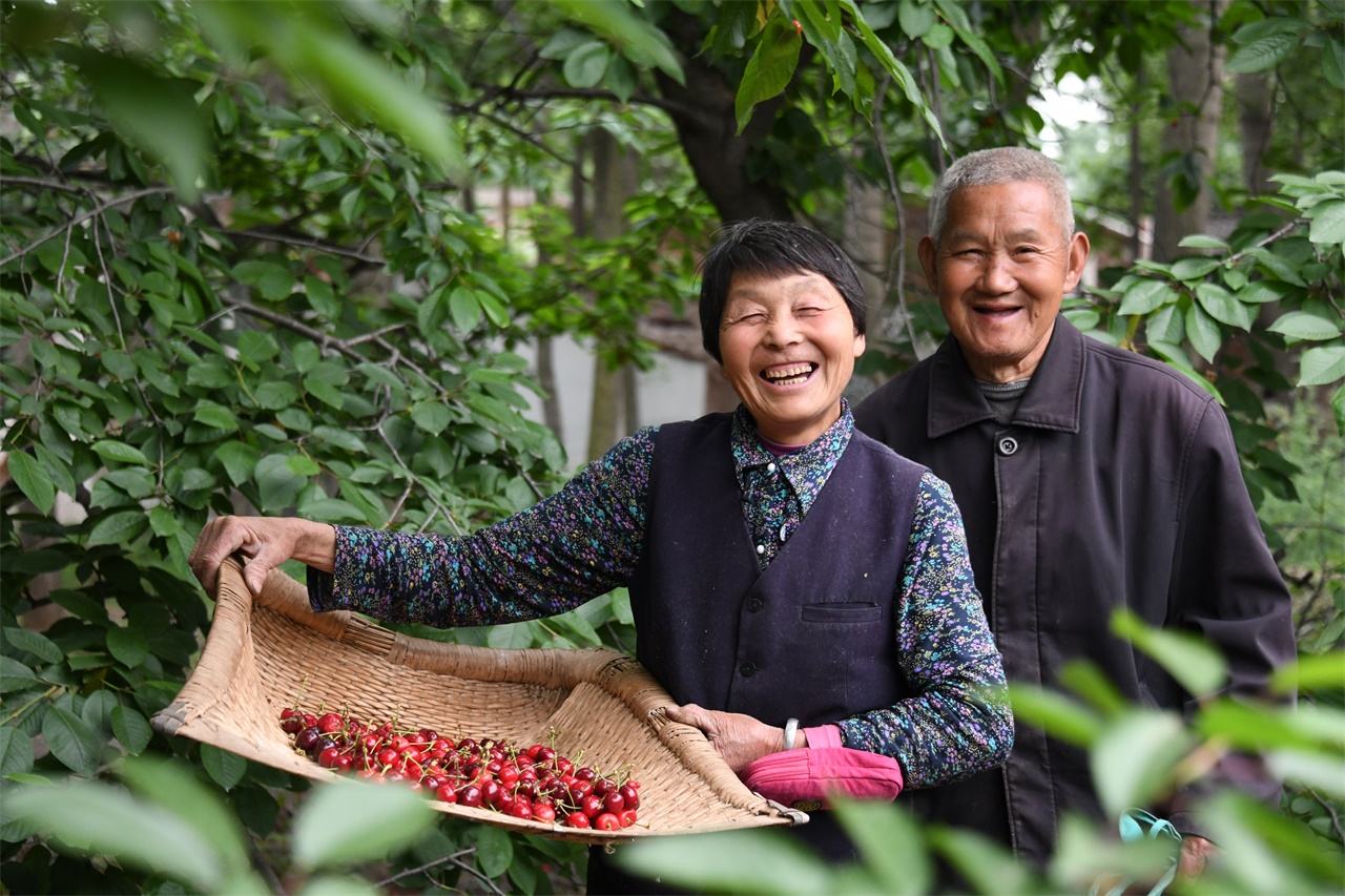 手指头上的斗和簸箕农村里的说法,老人为什么喜欢看垃圾桶