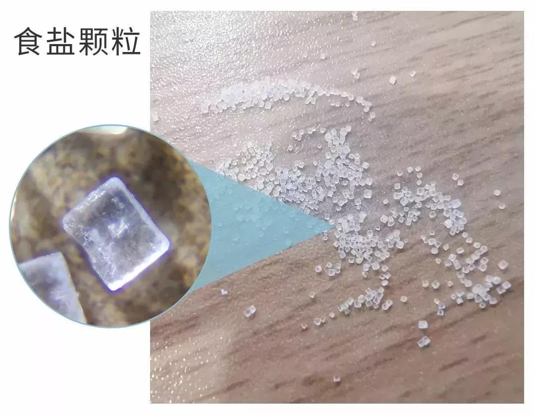 可随身携带的儿童显微镜,kenko儿童显微镜