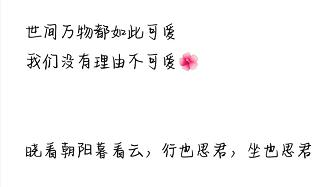 我花三块钱买了朋友圈人设服务，然后我的人设崩了