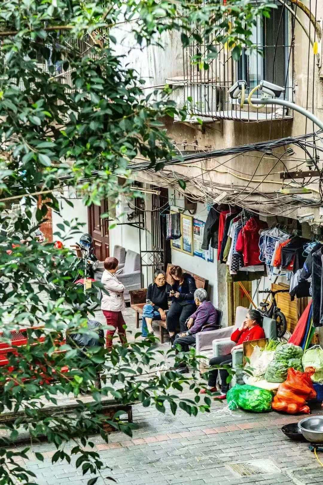 重庆土话的方言,最近很火的重庆方言