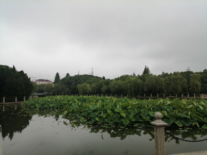 父亲见血是什么兆头,见血就晕的男主演