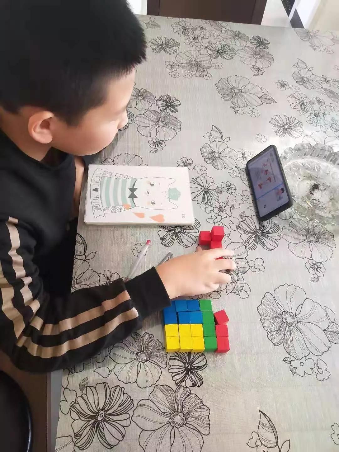 延安兰家坪小学新闻,延安市兰家坪小学排行