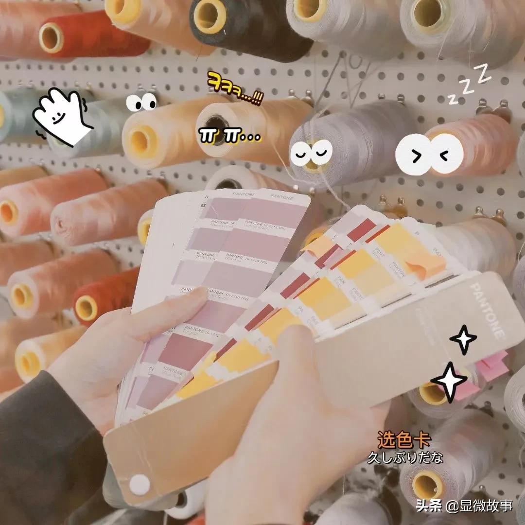 我和女友一起创业,卖内衣、打官司、忘记股权转让