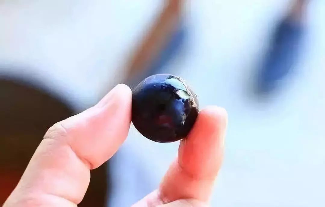 真的是活久见！长成这样居然能吃？