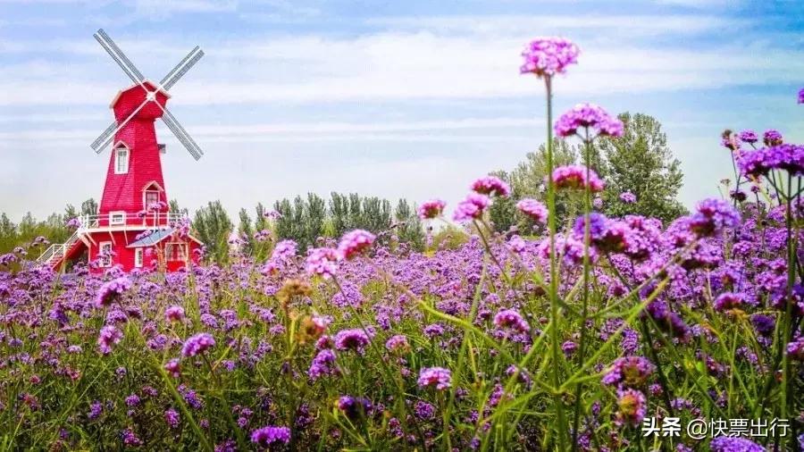 河北求婚景点,唐山表白圣地