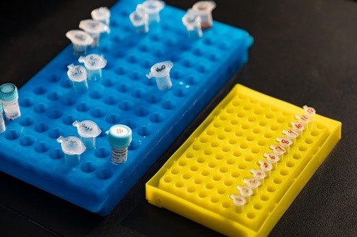 齐碳科技发展前景,齐碳科技四位创始人